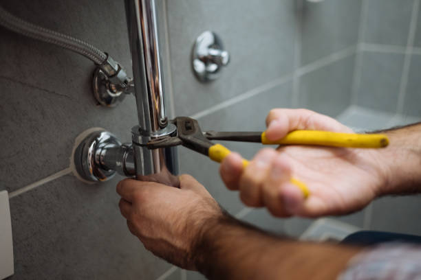 Best Commercial Plumbing Services  in Belleville, WI