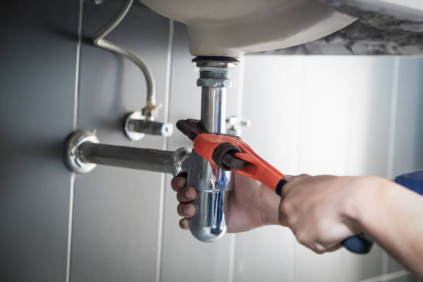 Best Plumbing Services Near Me  in Belleville, WI